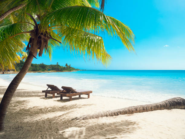 PUNTA CANA Y BAYAHIBE 